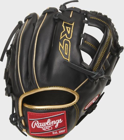 Imagen de Guante de entrenamiento Rawlings R9TRBG 9 INCH